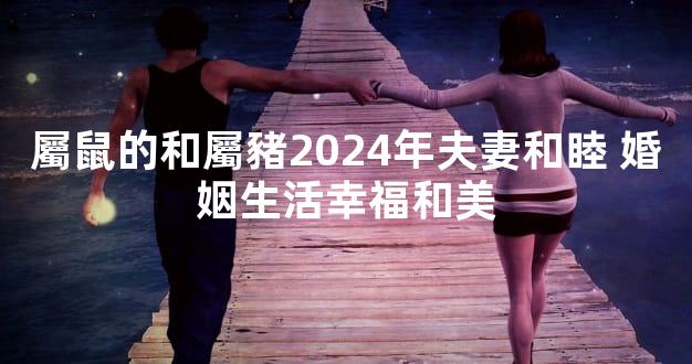 屬鼠的和屬豬2024年夫妻和睦 婚姻生活幸福和美